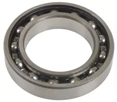 195494M1 - BALL BEARING