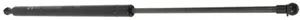 3384671M1 - STRUT REAR WINDOW
