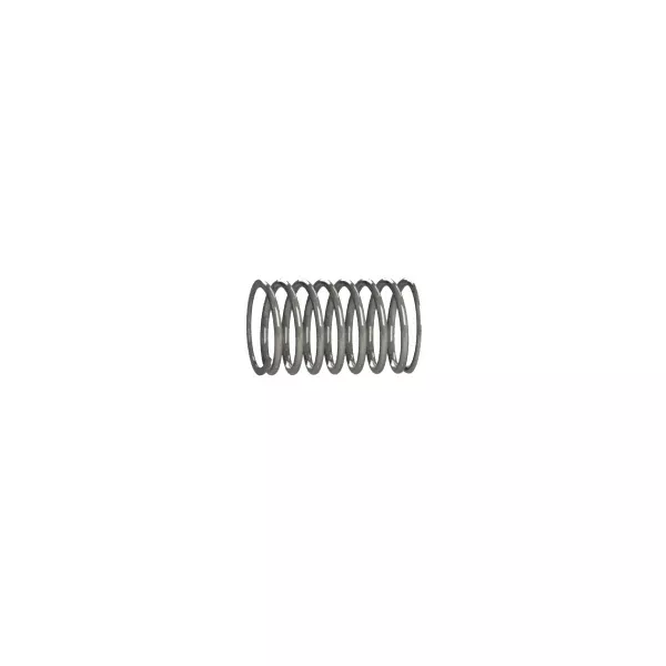 Anest Iwata 93001700 WS200 Air Valve Spring